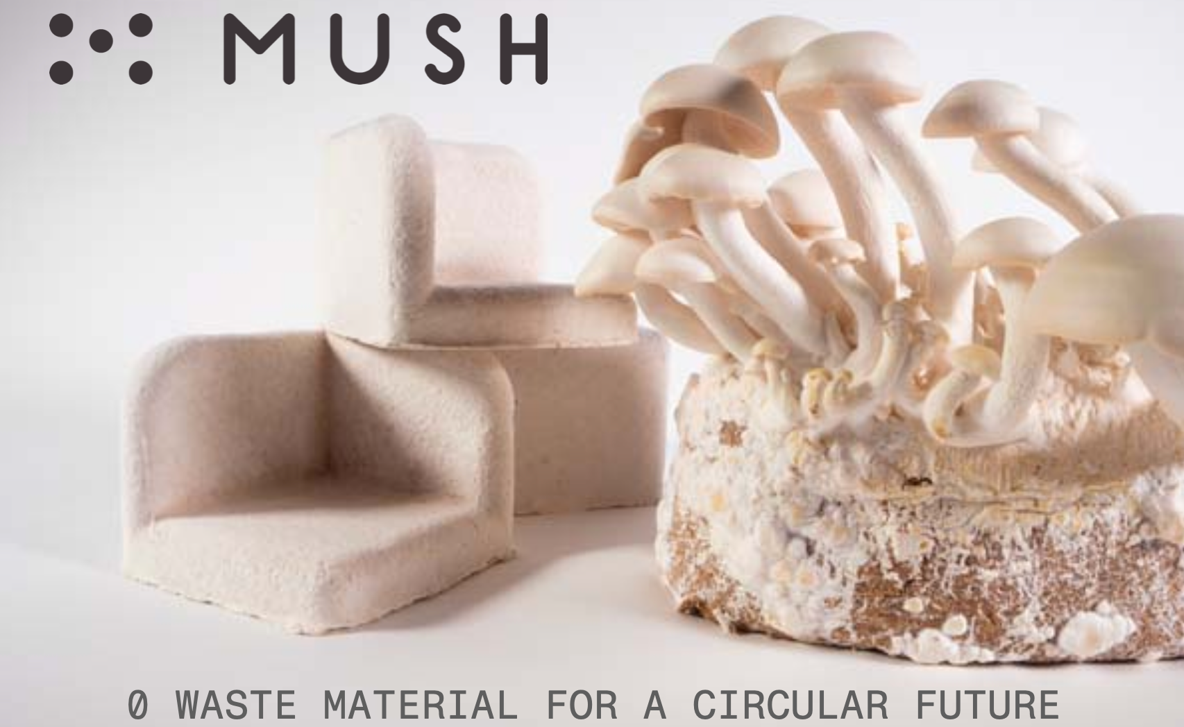 MUSH MYCOTECHNOLOGY