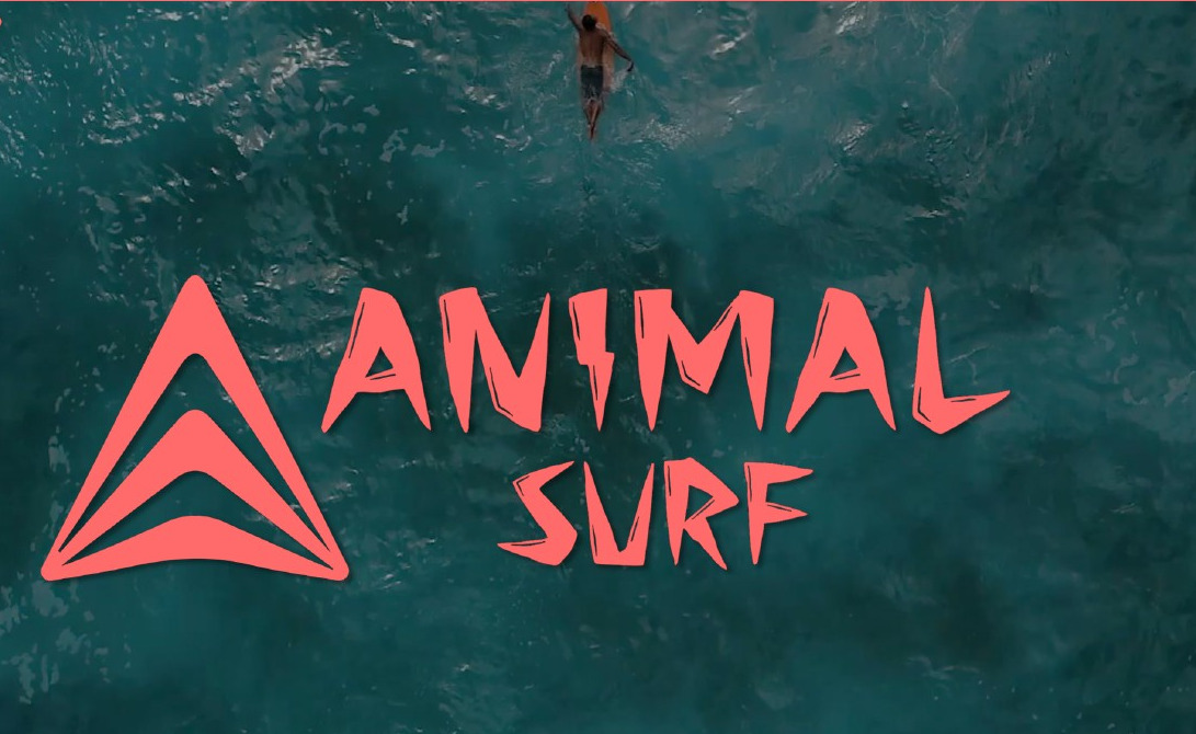 ANIMAL SURF